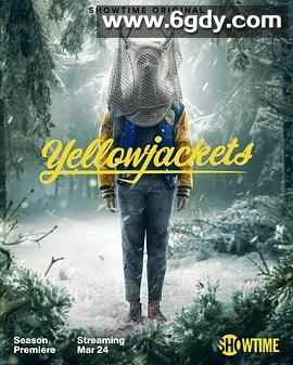 黄蜂 第二季(2023)完结9集全迅雷网盘全集下载