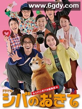 柴犬的规矩～我们这群狗痴编辑部～(2025)完结更新至08集迅雷网盘全集下载