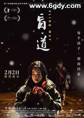 盲·道(2017)HD高清迅雷网盘磁力下载
