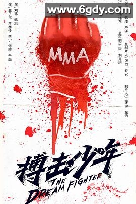 搏击少年(2018)HD高清迅雷网盘磁力下载