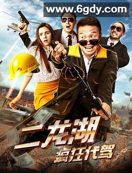 二龙湖疯狂代驾(2018)HD高清迅雷网盘磁力下载