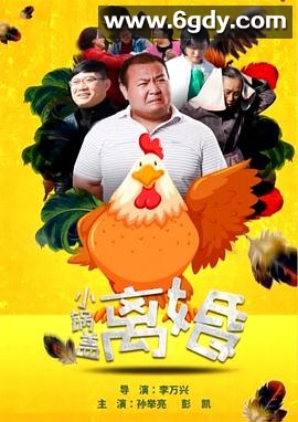 小锅盖离婚(2017)HD高清迅雷网盘磁力下载