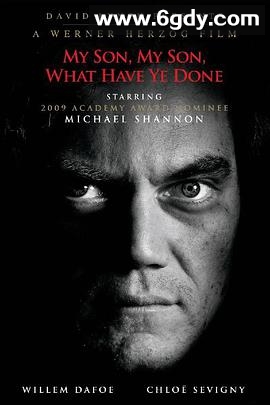 儿子，你都干了什么(2009)HD高清迅雷网盘磁力下载