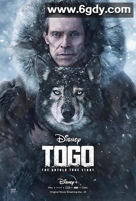 多哥(2019)HD高清迅雷网盘磁力下载