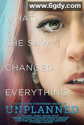 计划外(2019)HD高清迅雷网盘磁力下载