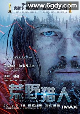 荒野猎人(2015)HD高清迅雷网盘磁力下载