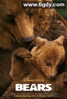 熊世界(2014)HD高清迅雷网盘磁力下载