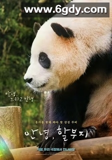 再见，福宝(2024)HD高清迅雷网盘磁力下载