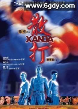 散打(2004)HD高清迅雷网盘磁力下载