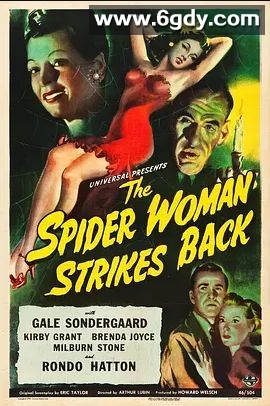 蜘蛛女(2003)超清高清迅雷网盘磁力下载