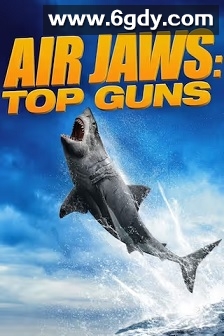 空中巨鲨：捍卫战士(2022)HD高清迅雷网盘磁力下载