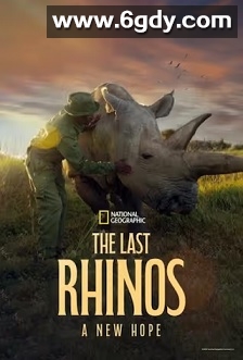 最后的犀牛：新希望(2025)HD高清迅雷网盘磁力下载
