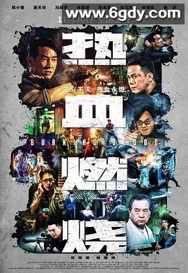 热血燃烧(2024)HD高清迅雷网盘磁力下载