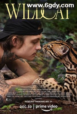 野猫(2022)HD高清迅雷网盘磁力下载