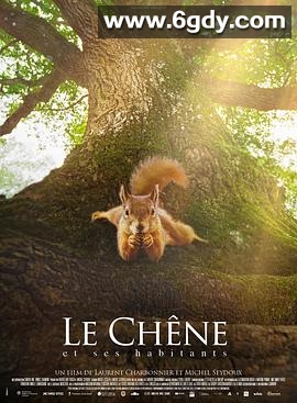 橡树(2022)HD高清迅雷网盘磁力下载