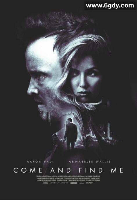 来找我(2016)HD高清迅雷网盘磁力下载