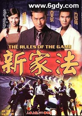新家法(1999)HD高清迅雷网盘磁力下载