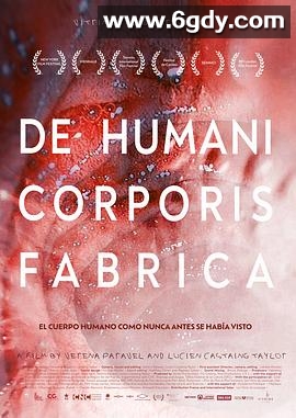 人体结构(2022)HD高清迅雷网盘磁力下载