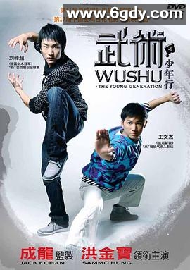 武术之少年行(2008)HD高清迅雷网盘磁力下载