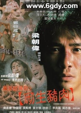 黑狱断肠歌之砌生猪肉(1997)HD高清迅雷网盘磁力下载