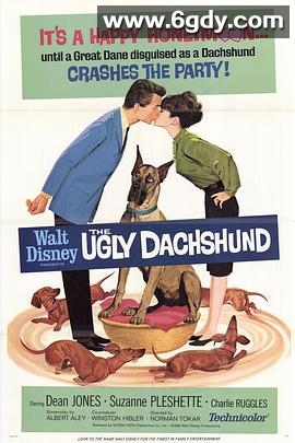 蠢狗记(1966)HD高清迅雷网盘磁力下载