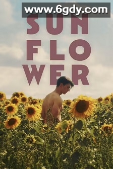 向日葵(2023)HD高清迅雷网盘磁力下载