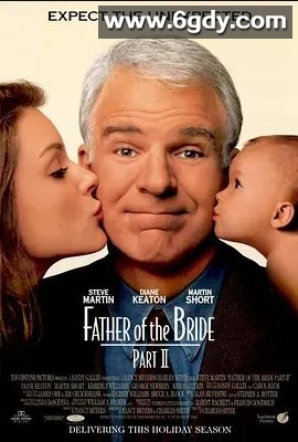 新岳父大人之三喜临门(1995)HD高清迅雷网盘磁力下载