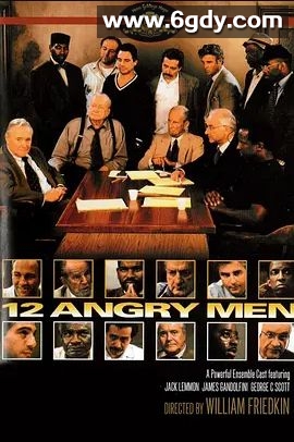 十二怒汉(1997)HD高清迅雷网盘磁力下载