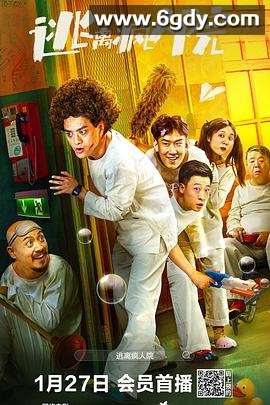 逃离疯人院(2024)HD高清迅雷网盘磁力下载