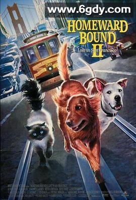 看狗在说话之旧金山历险记(1996)HD高清迅雷网盘磁力下载