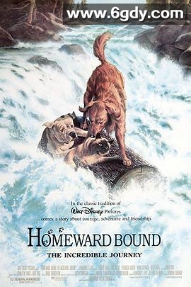 看狗在说话(1993)HD高清迅雷网盘磁力下载