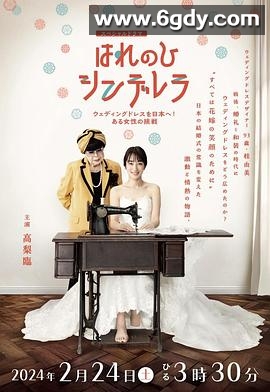 晴天灰姑娘 把婚纱带到日本！一位女性的挑战(2024)HD高清迅雷网盘磁力下载