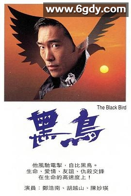 黑鸟(1995)HD高清迅雷网盘磁力下载