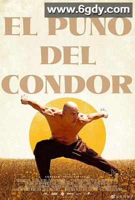 雕形拳(2023)HD高清迅雷网盘磁力下载