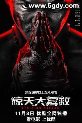 惊天大营救(2024)HD高清迅雷网盘磁力下载