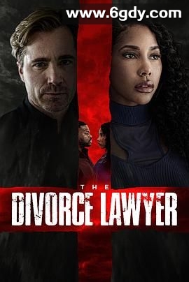 离婚律师(2025)HD高清迅雷网盘磁力下载