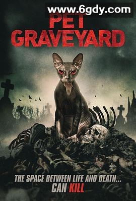 宠物坟墓(2019)超清高清迅雷网盘磁力下载