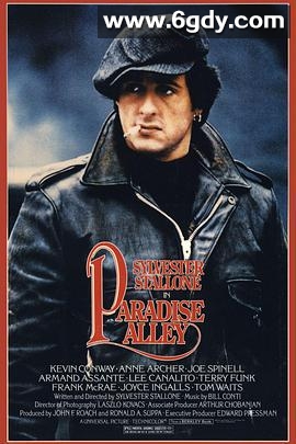 陋巷风云(1978)超清高清迅雷网盘磁力下载