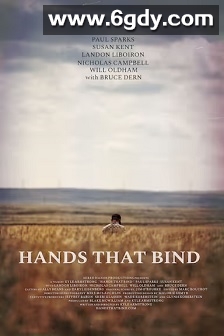 只手遮天(2023)HD高清迅雷网盘磁力下载