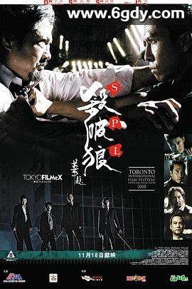 杀破狼(2005)HD高清迅雷网盘磁力下载