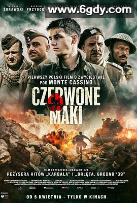 浴血卡西诺(2024)HD高清迅雷网盘磁力下载