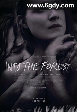 森林深处(2015)HD高清迅雷网盘磁力下载