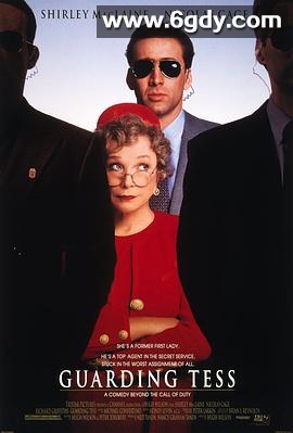 第一夫人的保镖(1994)HD高清迅雷网盘磁力下载