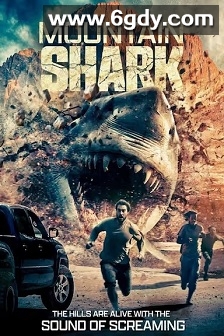 山鲨(2024)HD高清迅雷网盘磁力下载