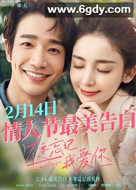 不要忘记我爱你(2022)HD高清迅雷网盘磁力下载