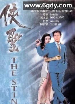 侠圣(1992)HD高清高清迅雷网盘磁力下载