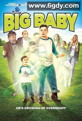 大宝贝(2015)HD高清迅雷网盘磁力下载