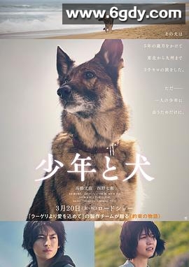 少年与犬(2025)HD高清迅雷网盘磁力下载