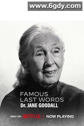 临终遗言 第一季(2025)HD高清迅雷网盘磁力下载