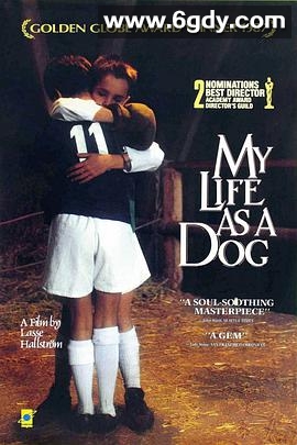 狗脸的岁月(1985)HD高清迅雷网盘磁力下载